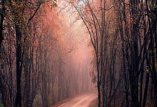 C7娱乐:常规赛末段换帅!灰熊成为本赛季第二支在季中换帅的球队.