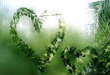 WTT重庆冠军赛 王曼昱3-0火速晋级16强央视新闻客户端.