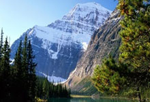 C7娱乐：[亚冠]申花送蔚山本赛季亚冠首胜.