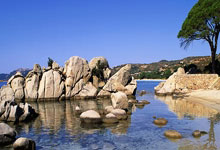 范志毅:现在每场看国足太累了,就看2030年王钰栋这批能否上来.